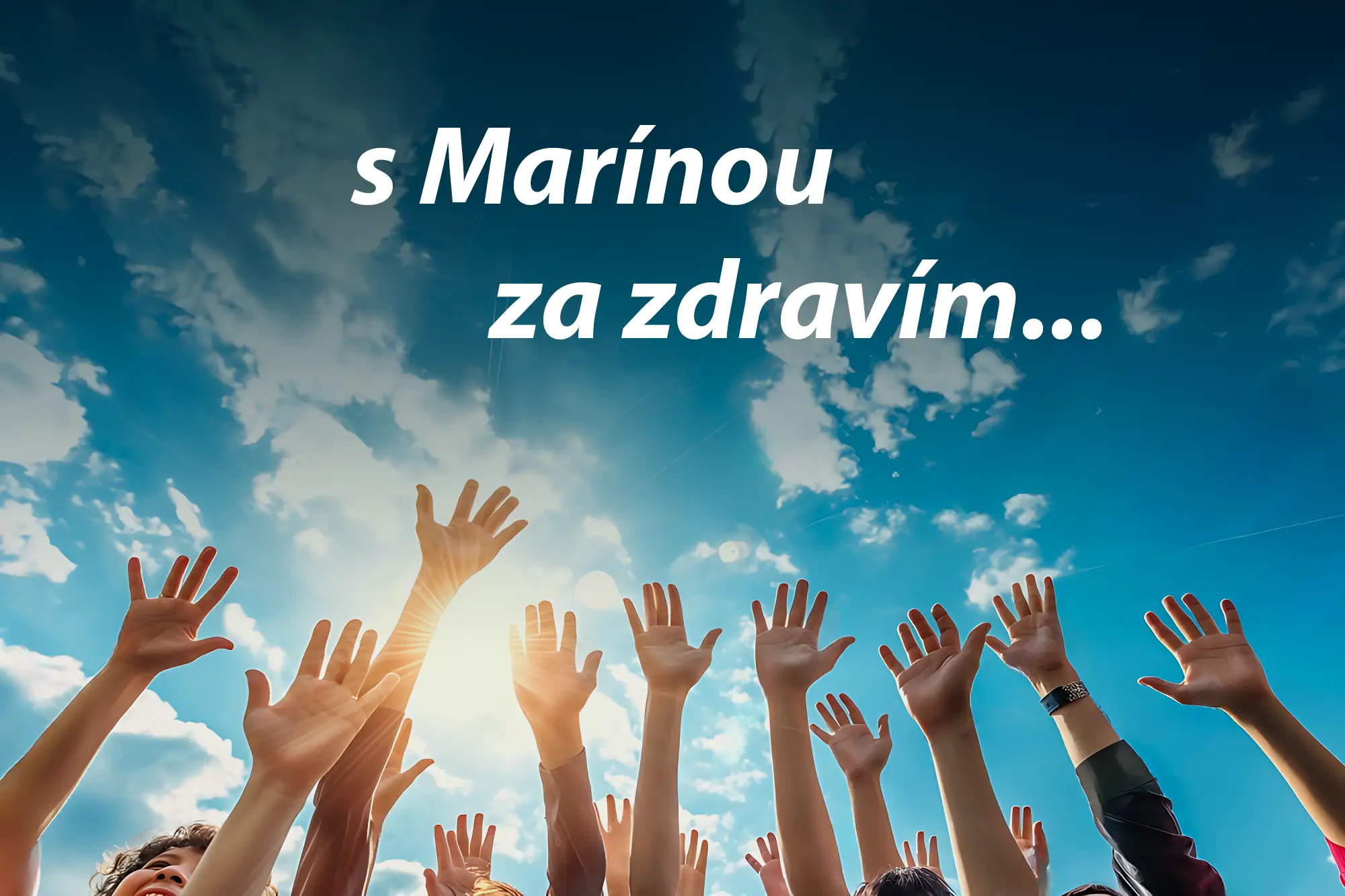 nasi-partneri-web